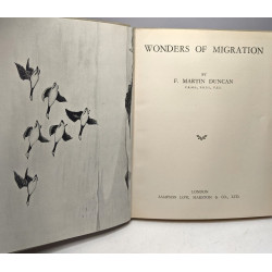Wonders of migration