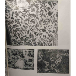 La mosaïque aux chevaux de l'antiquarium de Carthage /...
