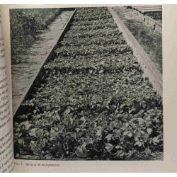Analyse van aardappelpopulaties ten dienste van de veredeling