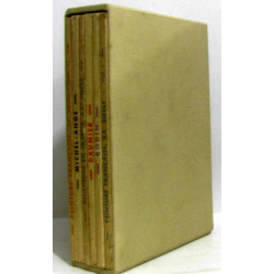Le musée de poche. collection les maîtres. 6 volumes: Michel Ange...