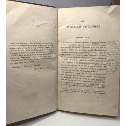 Essai d'idéologie ontologique ou considérations philosophiques sur...