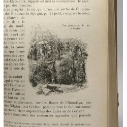 Asie et Insulinde Afrique - classe de cinquième ( divisions A et B...