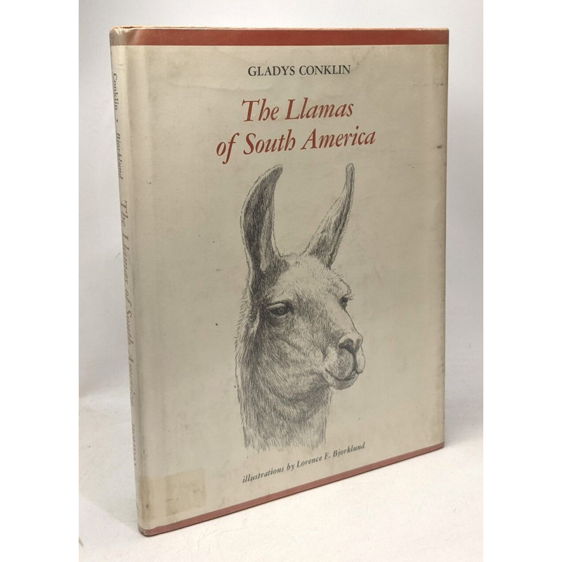 The Llamas of South America - illustrations by Lorence F. Bjorklund