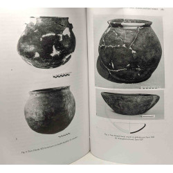 Ancient near eastern studies - VOLUME XLII 2005
