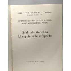 Guida alle Antichità Mesopotamiche e Cipriote - soprintendenza...