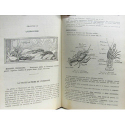 Les Sciences Par L'observation et L'experience - Cours Superieur...