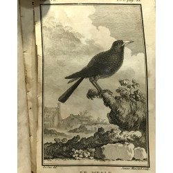 Histoire naturelle des oiseaux - tome second + Tome sixième --- 2...