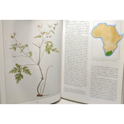 Le Géranium - Voyage dans le monde des plantes