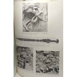 Anatolica - Annuaire international pour les civilisations de...