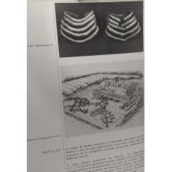 Hallstatt (700-400 av. j.-C.) à l'aube de la métallurgie ---...