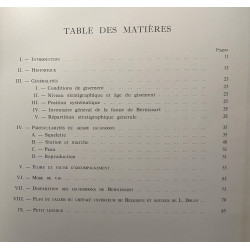 Bernissart ... il y a 125.000.000 d'années! --- les richesses...