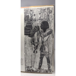 Voyages en Egypte et en Nubie - présentation et commentaire de...
