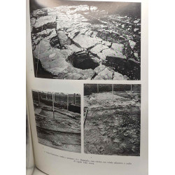 Studi etruschi - VOL. LV - MCMLXXXXVII-MCMLXXXVIII (1987/1988) -...