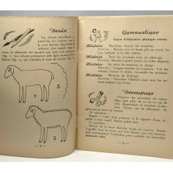 Centres d'intérêt pour les petits - N°11 novembre: le mouton le...
