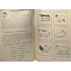 Centres d'intérêt pour les petits - N°11 novembre: le mouton le...