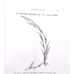 Librairie centrale d'agriculture et de jardinage - 1er janvier...