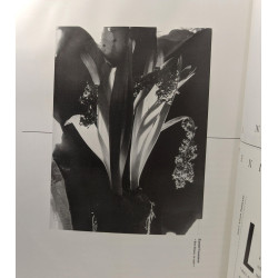 2e mois "Off" de la photographie à Paris