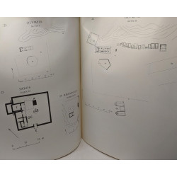 The Archaic Greek Temenos - A study of Structure and Function /...