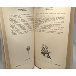 Piante carnivore strane curiose --- duecento esemplari illustrati