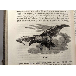 Morceaux choisis de Buffon - extraits de la grande édition publiée...