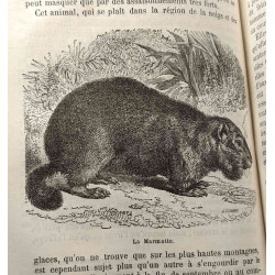 Morceaux choisis de Buffon - extraits de la grande édition publiée...