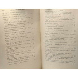 Métrique de Victor Hugo