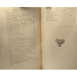 Métrique de Victor Hugo