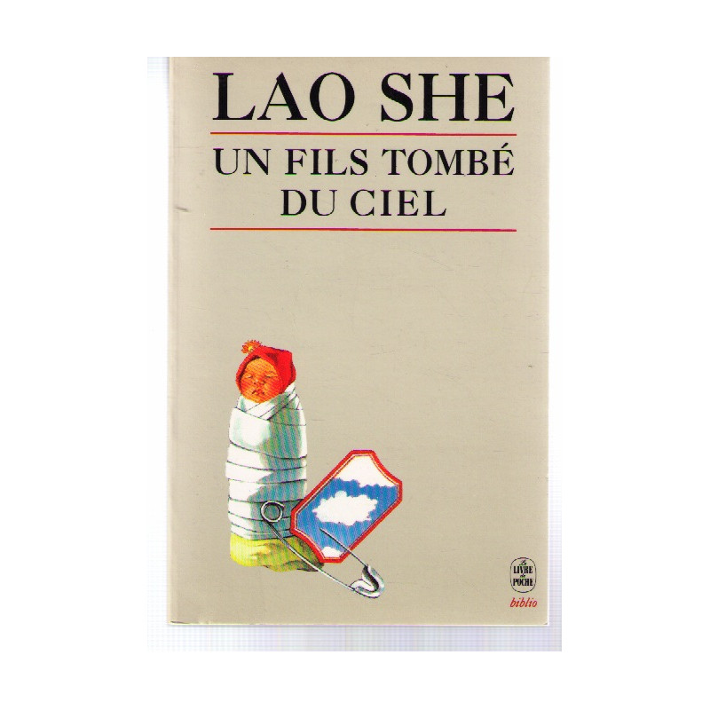 Un fils tombe du ciel