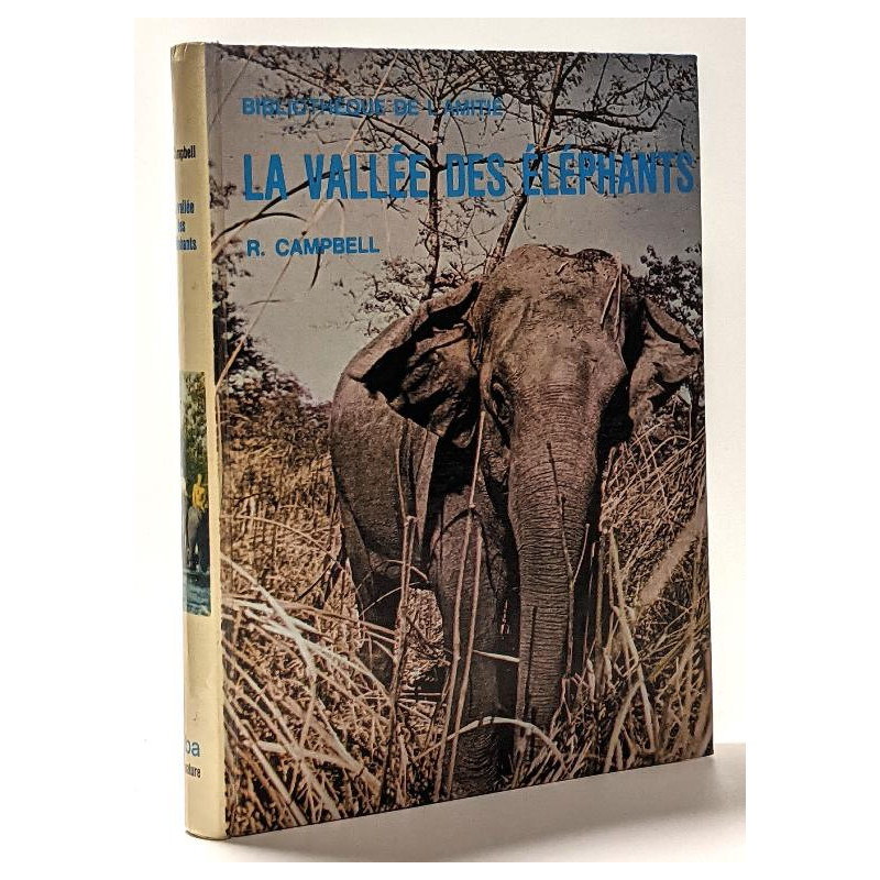 La vallée des éléphants