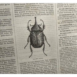  Nouveau Dictionnaire National ou Dictionnaire universel de la...
