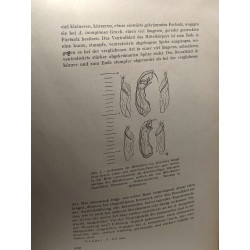Einige von Herrn Dipl. Ing. Alexander v. Peez in der Umgebung von...