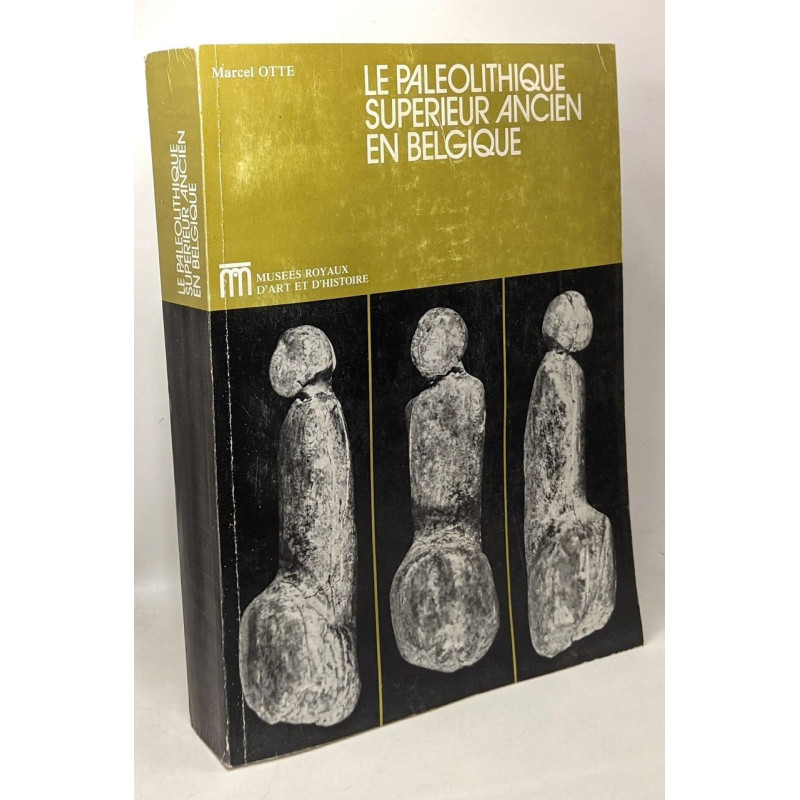 Le paléolithique supérieur ancien en Belgique - musées royaux...