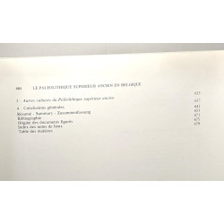 Le paléolithique supérieur ancien en Belgique - musées royaux...