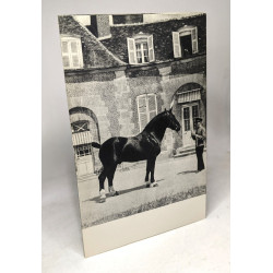 Le Haras du Pin - 12 photographies