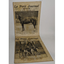 Lot de 18 numéros de l'hebdomadaire "le petit journal garicole et...