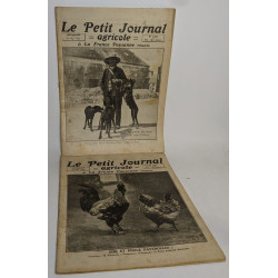Lot de 18 numéros de l'hebdomadaire "le petit journal garicole et...