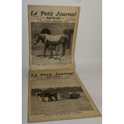 Lot de 18 numéros de l'hebdomadaire "le petit journal garicole et...
