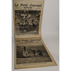 Lot de 18 numéros de l'hebdomadaire "le petit journal garicole et...