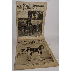 Lot de 18 numéros de l'hebdomadaire "le petit journal garicole et...