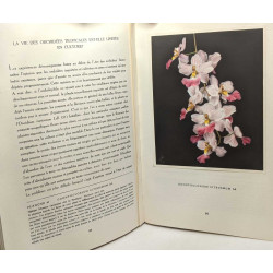 Orchidées - version française par Dr Jean Lupold