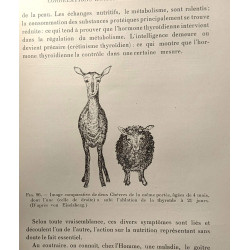 Vie et reproduction - notions actuelles sur les probèmes généraux...