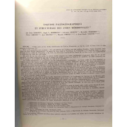 Esquisse paléogéographique et structurale des Andes Méridionales /...