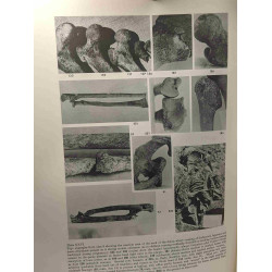 The people - VOLUME II - Lerna a preclassical site in the argolid...