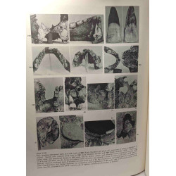 The people - VOLUME II - Lerna a preclassical site in the argolid...