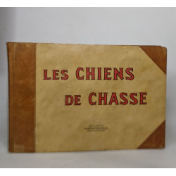 Les chiens de chasses - aquarelles de François Castellan