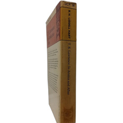 T. E. Lawrence: In Arabia and After
