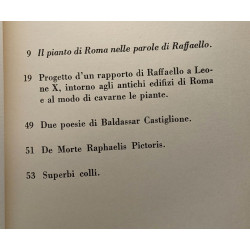 Il pianto di Roma - lettera a Leone X