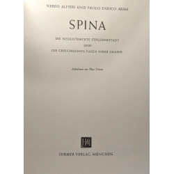 Spina - die neuentdeckte etruskerstadt und die griechischen vasen...