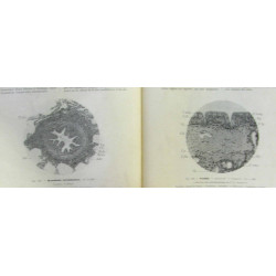 Cahier de travaux pratique d'histologie (2e édition avec 228 figures)