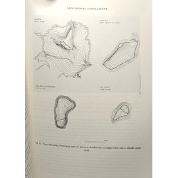 Salganeus and the Fortifications on its Mountains - Chalcidian...